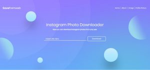 instagram downloader 