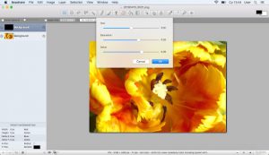 Free Mac Apps for Graphic Designers 