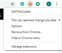 chrome slow to load