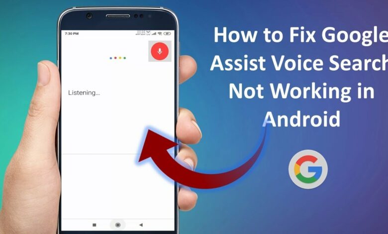 google voice not working