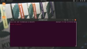 linux watch multiple commands