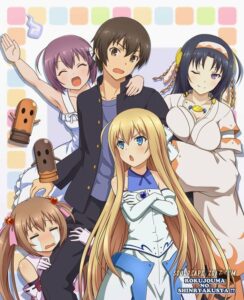 best harem anime