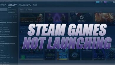 Steam not launching