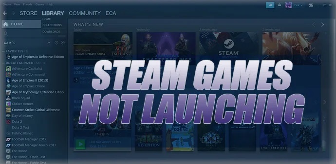 Steam not launching