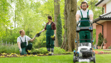 lawn and landscape services