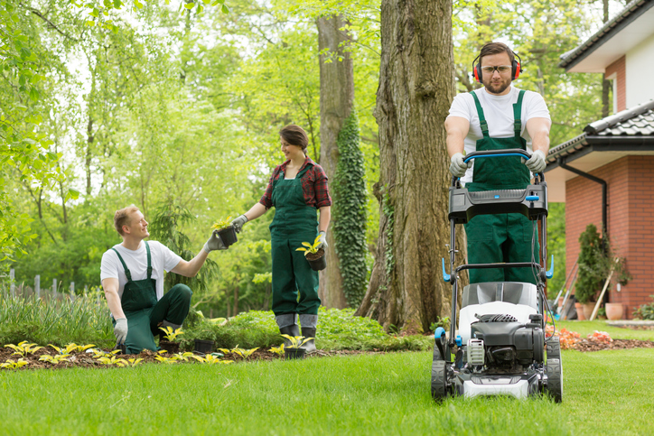 lawn and landscape services