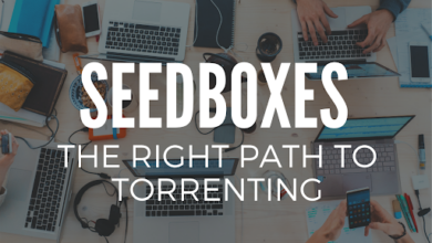 Seedboxes: The Right Path to Torrenting