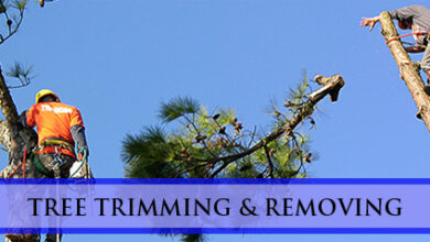 tree cutting services