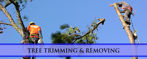 tree cutting services