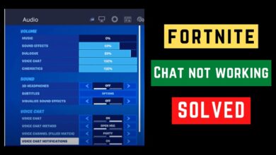Fortnite voice chat not working 2021