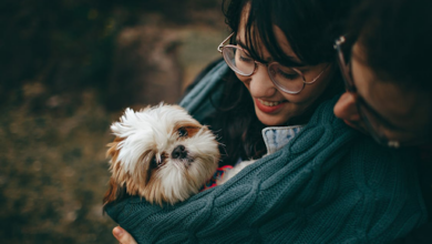 How Human and Dog Health Is Linked