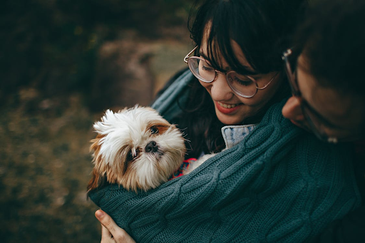How Human and Dog Health Is Linked