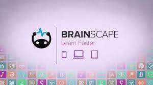 Brainscape Flashcards