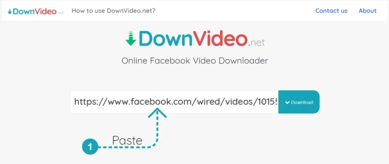 DownVids