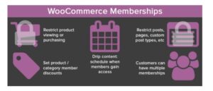 Best WooCommerce Alternatives