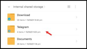 Recover Deleted Telegram Messages