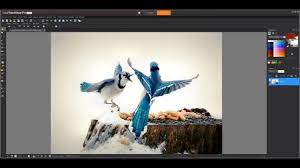 Corel PaintShop Pro