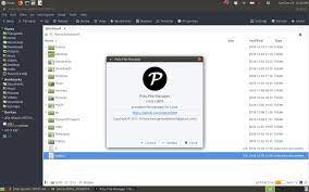 Polo File Manager