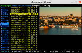 Ranger NCurse's file manager Vim bindings