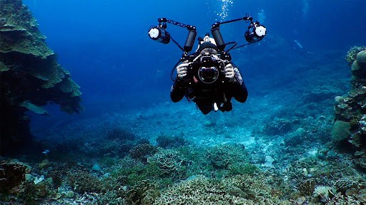 A Quick Guide to Underwater Photography 2022
