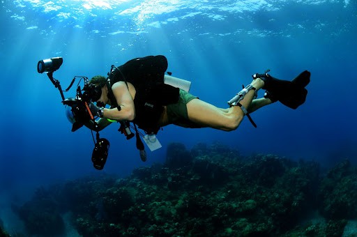 A Quick Guide to Underwater Photography 2022