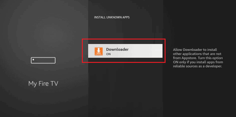 Click Developer Options and select Install Unknown app. Then, enable the Downloader toggle
